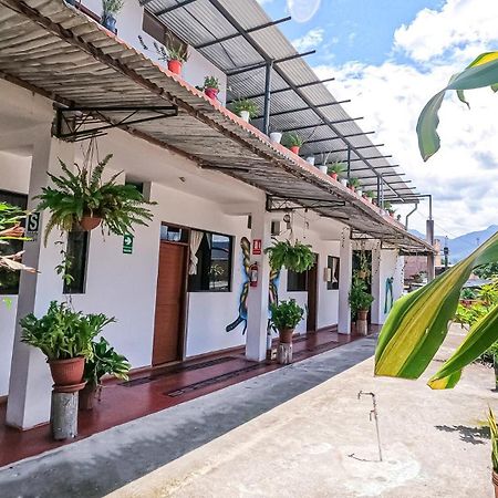 Shoffi'S House Backpackers Hotel Tarapoto Exterior foto